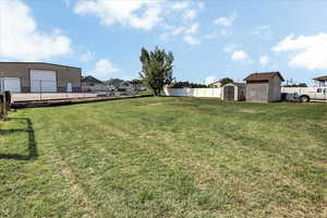 View of yard and storage shed