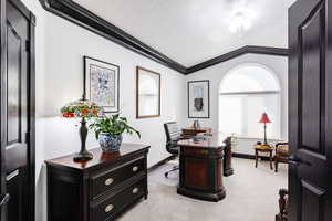 Home office with light carpet, ornamental molding, a textured ceiling, ceiling fan, and vaulted ceiling