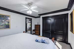 Bedroom featuring ornamental molding, ceiling fan, and carpet flooring