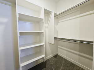 View of walk in closet