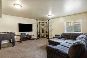 Basement Family Room