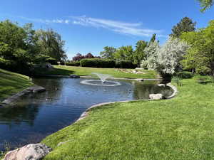 View of water feature