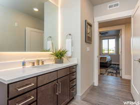 Bathroom featuring vanity and wood-type flooring