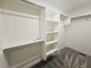 Spacious closet featuring dark colored carpet