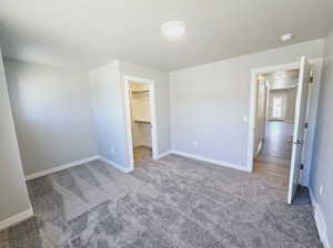 Unfurnished bedroom featuring a walk in closet, a closet, and carpet floors