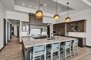 Kitchen with a tray ceiling, a large island with sink, decorative light fixtures, and sink