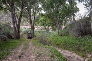 Photo 66 of 1035  MONTEZUMA CYN