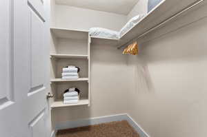 Walk in closet featuring carpet floors