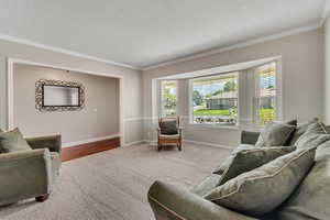 Carpeted living room featuring a textured ceiling and ornamental molding