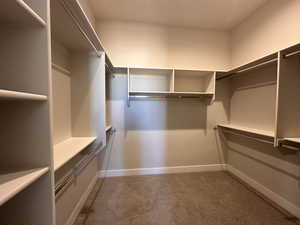 Spacious closet with carpet floors