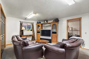 Carpeted living room with a textured ceiling