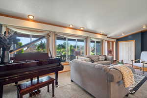 Carpeted living room featuring ornamental molding, a textured ceiling, and vaulted ceiling