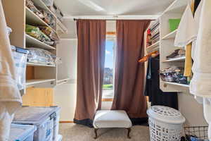 Walk in closet with light colored carpet