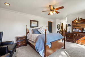 Carpeted bedroom featuring ceiling fan, crown molding, and a textured ceiling