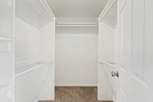 Walk in closet with carpet floors