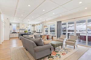 Living room with a mountain view, a healthy amount of sunlight, and light hardwood / wood-style floors