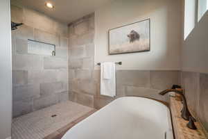 Master Walk-in Shower