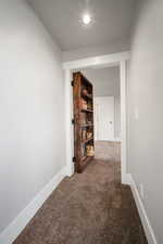 Hallway with Hidden Door to Bonus Room/Office