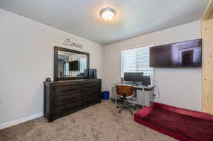 Office area with light carpet and a textured ceiling