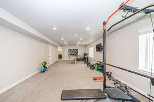 Workout area featuring a wealth of natural light and carpet floors