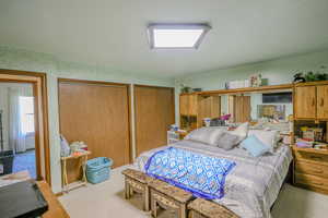 Bedroom with multiple closets and light colored carpet