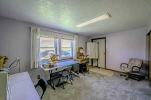 Carpeted home office with a textured ceiling