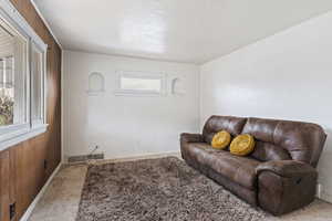 Carpeted living room featuring wood walls and a textured ceiling