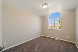 Empty room featuring lofted ceiling, carpet, and a textured ceiling