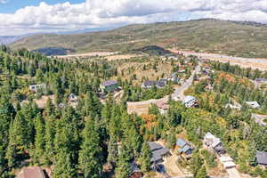 Drone / aerial view with a mountain view