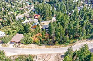 Drone / aerial view featuring a mountain view