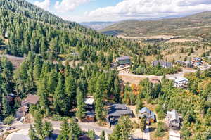 Aerial view featuring a mountain view