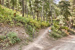 View of trail