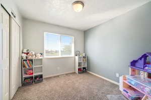 Rec room featuring a textured ceiling and carpet floors