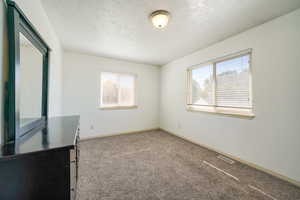 Unfurnished bedroom featuring multiple windows, carpet flooring, and a textured ceiling