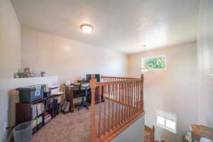 Home office with carpet, a textured ceiling, and a healthy amount of sunlight