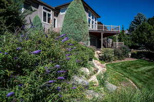 View of yard featuring a deck