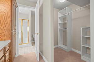 Spacious closet with light colored carpet