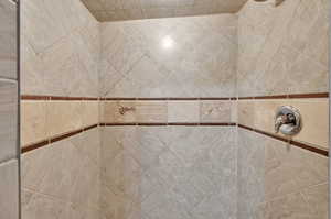 Details featuring tiled shower