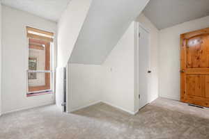 Additional living space featuring light carpet, a textured ceiling, and lofted ceiling