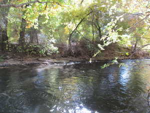 View of water feature