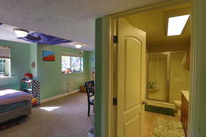 Interior space featuring light carpet, a textured ceiling, and multiple windows