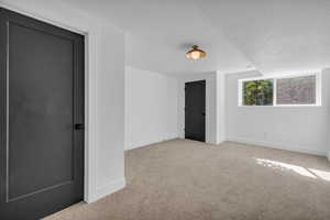 Bonus room featuring light colored carpet and a textured ceiling