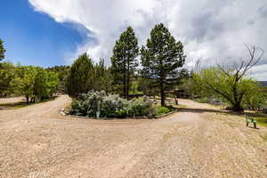 View of road