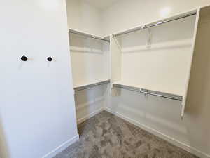 Spacious closet with carpet