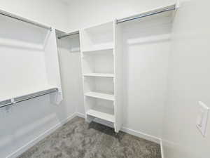 Spacious closet with carpet floors