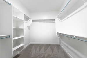 Walk in closet featuring dark colored carpet