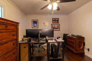 Office with ornamental molding, dark wood-type flooring, and ceiling fan