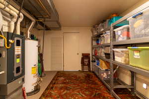 Interior space featuring gas water heater, 2 furnaces and storage