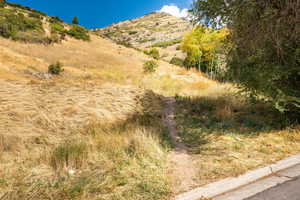 Nearby trailhead toward Little Rock Canyon