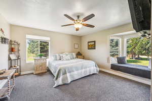 Carpeted bedroom featuring multiple windows and ceiling fan